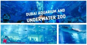 Dubai Aquarium & Underwater Zoo Combo Tickets Offer For 2020