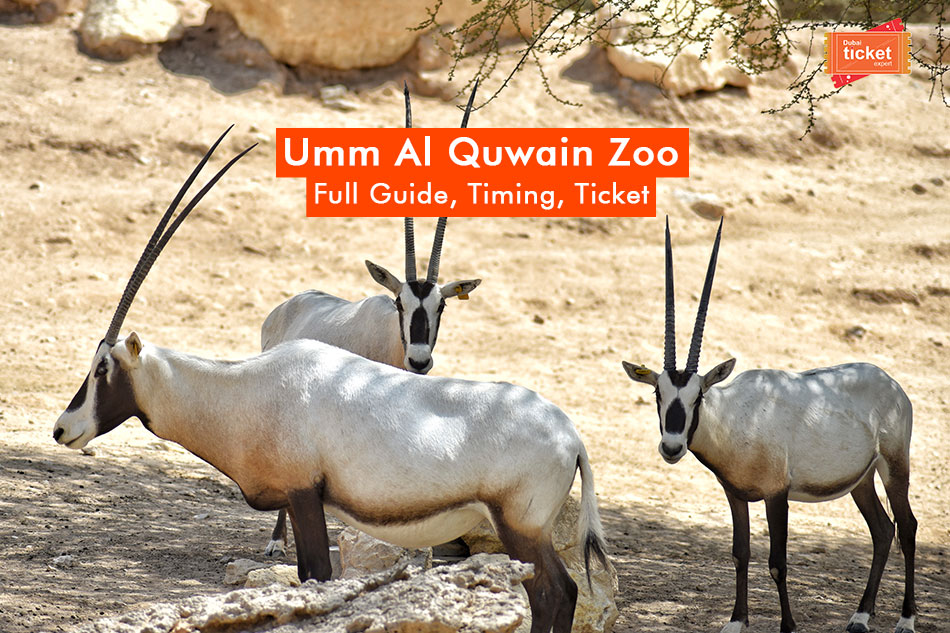 umm al quwain zoo ticket price 2023 offers